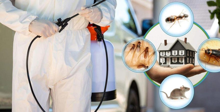 Sivrihisar Böcek İlaçlama