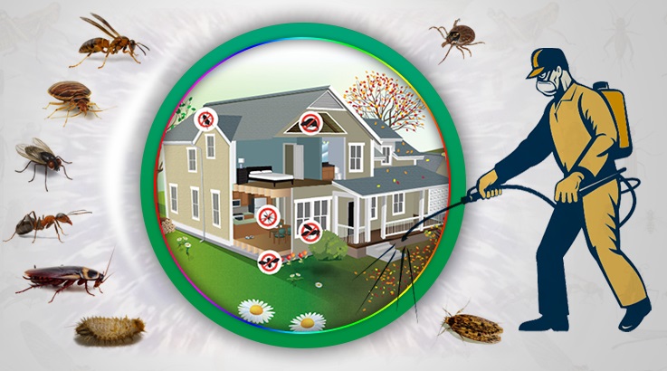 Sivrihisar Böcek İlaçlama