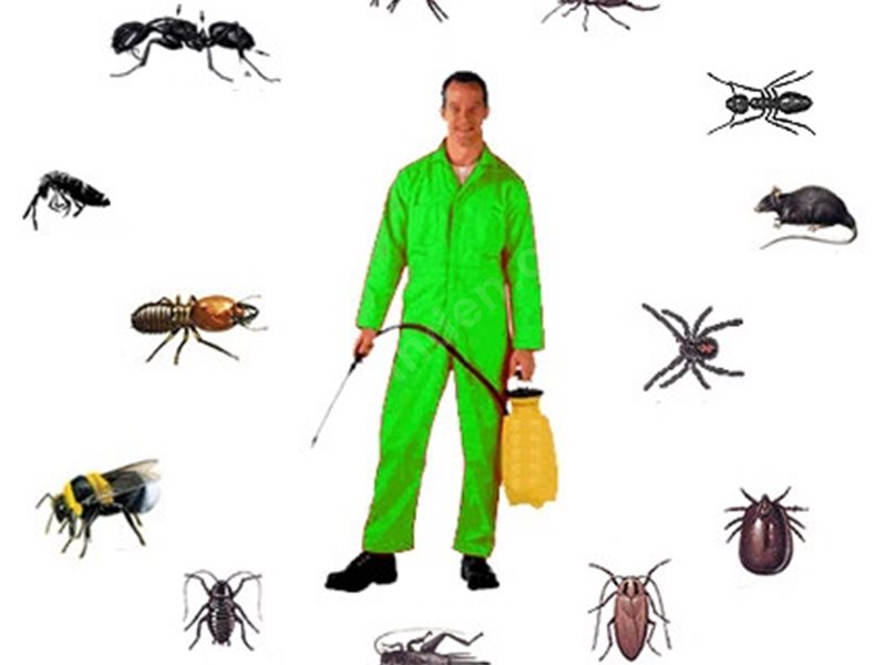 Sivrihisar Böcek İlaçlama